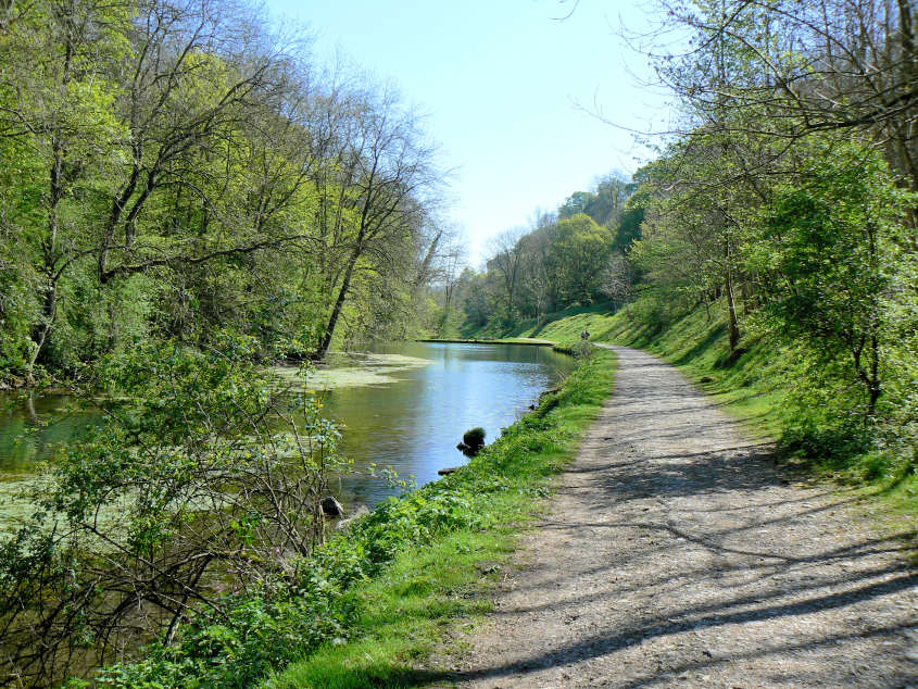 Bradford Dale Bradford Dale
